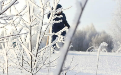 How to Maintain Balcony Glazing After Winter